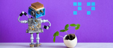 Blocksays: The Stage for Crypto Projects